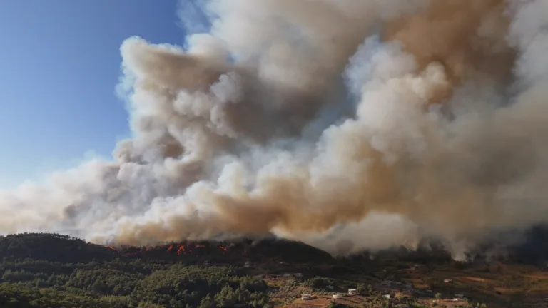 DJI 20250703175758 0378 D